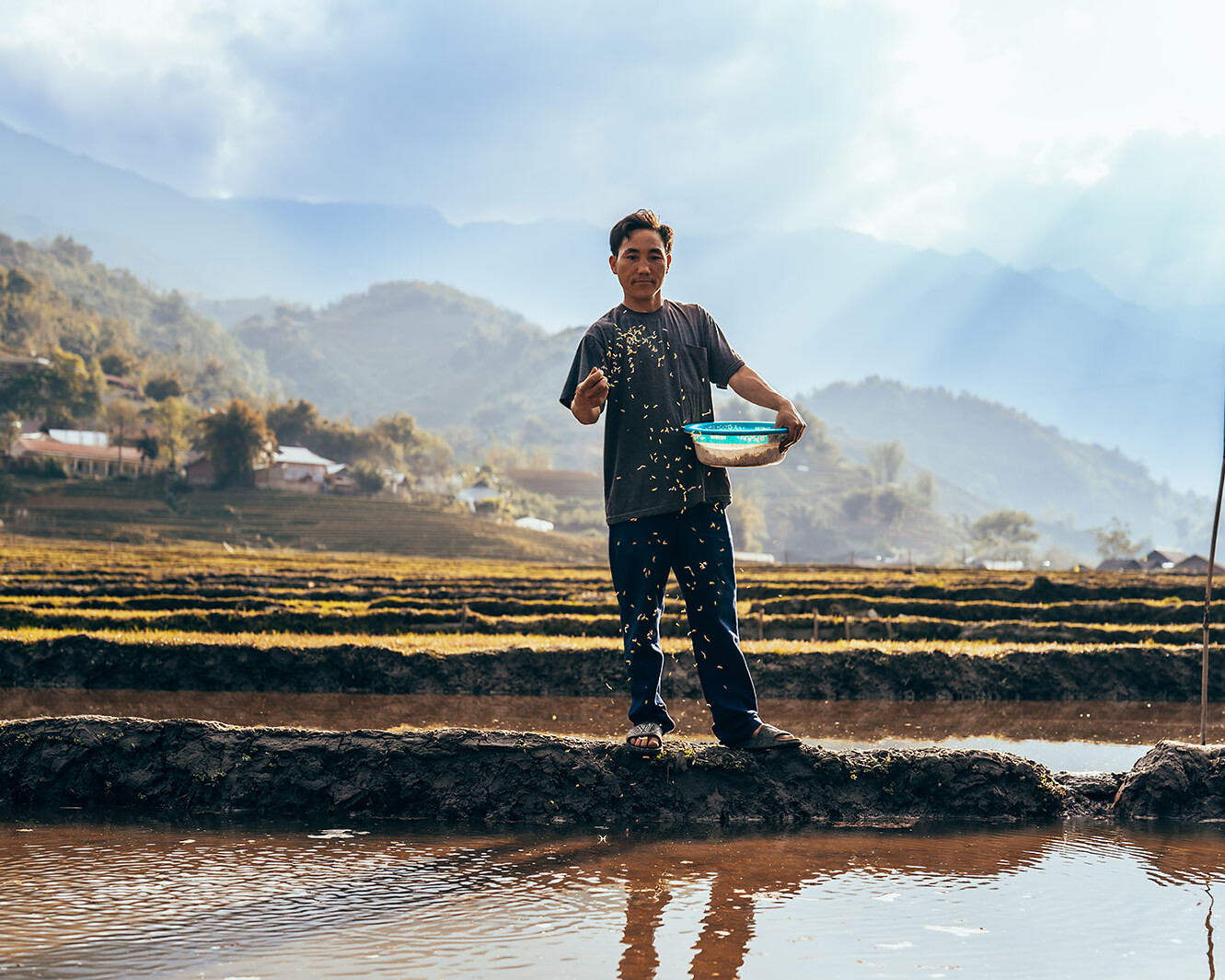 Farmer preparing to sow rice seeds in terraced rice fields in Sapa, Vietnam